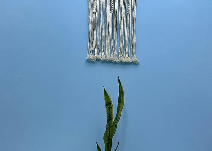 Appartement Misus City Center *